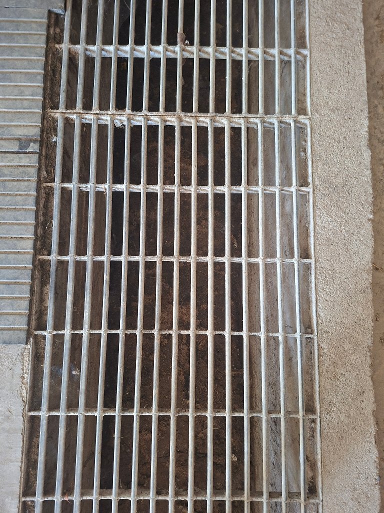 Roosters te koop, Ophalen, Zo goed als nieuw, 250 mm of meer, Overige typen