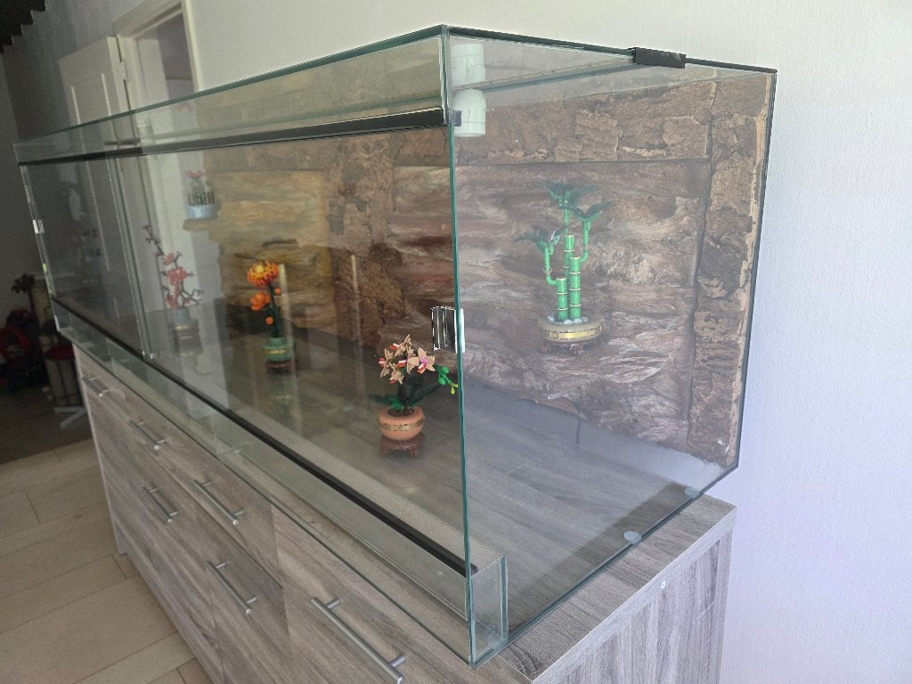 Terrarium avec accessoires, Enlèvement, Comme neuf, Terrarium ou Paludarium