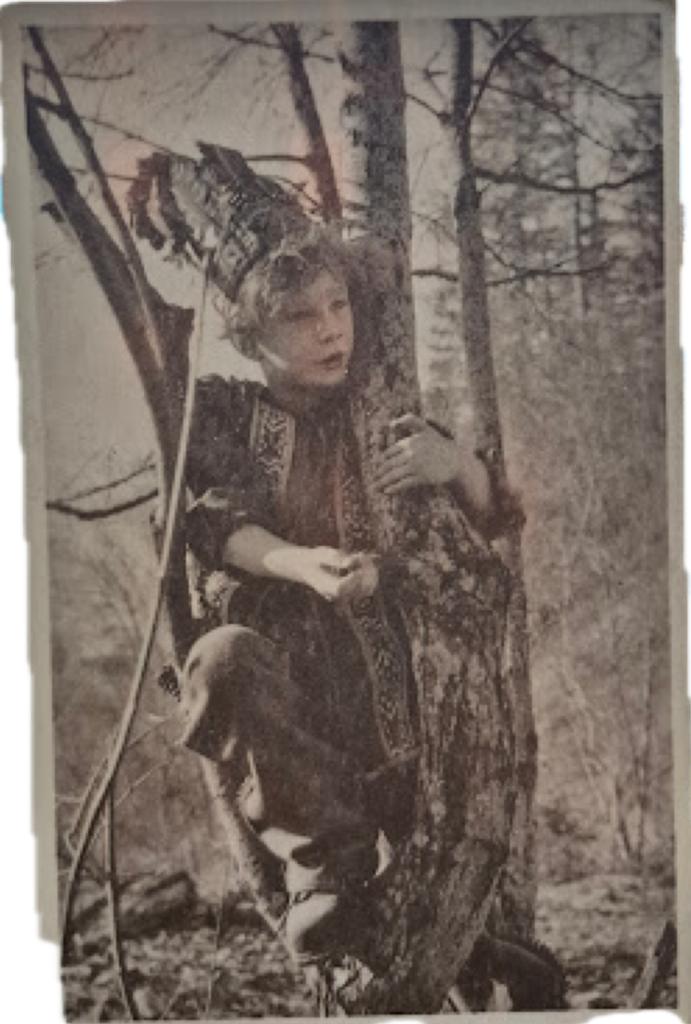Carte postale Prince Albert en train de jouer, Enlèvement ou Envoi, 1920 à 1940, Non affranchie, Stars et Célébrités