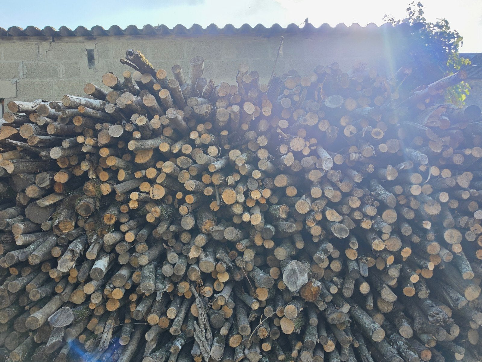 bois de chauffage, Enlèvement