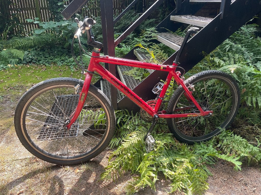 1993 Cannondale M800 Beast of the East, Fietsen en Brommers, Gebruikt, 57 cm of meer, Geen vering, Ophalen