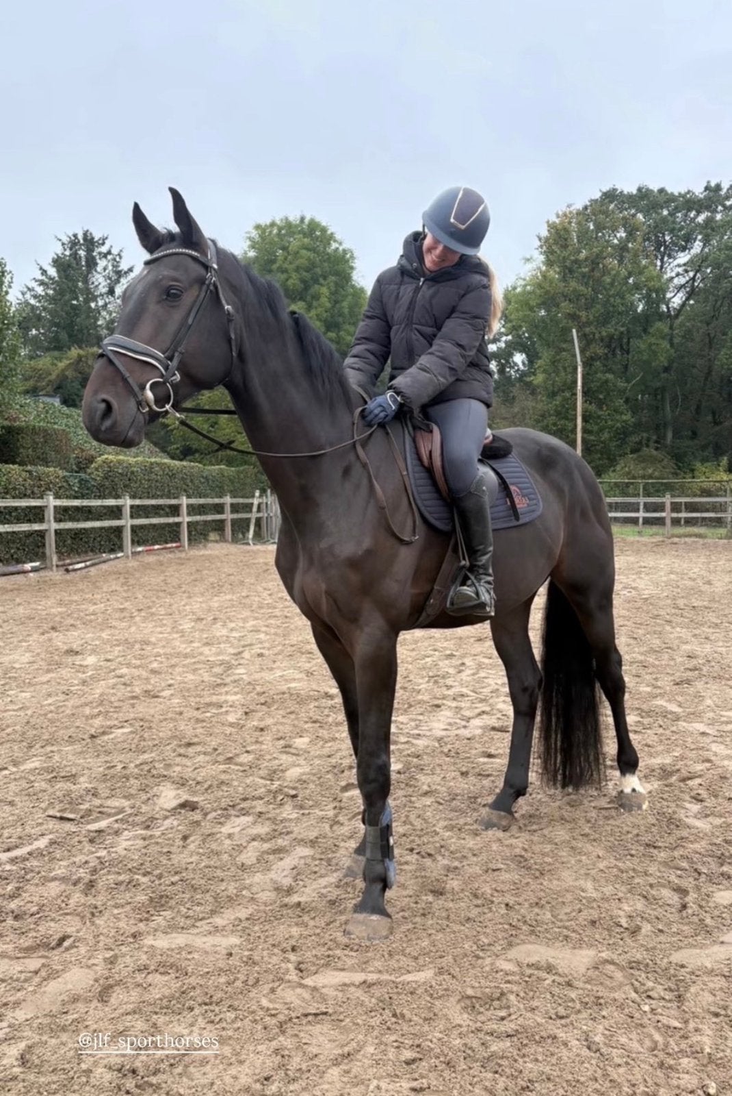 Leuke allrounder, Dieren en Toebehoren, Ruin