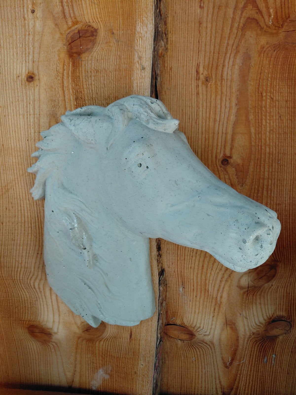 paardenkop, Tuin en Terras, Ophalen, Beton