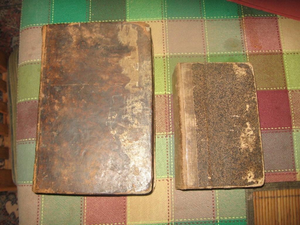 2 antieke woordenboeken Frans / nederlands 1829 en 1839, Livres, Dictionnaires, Enlèvement, Utilisé, Français