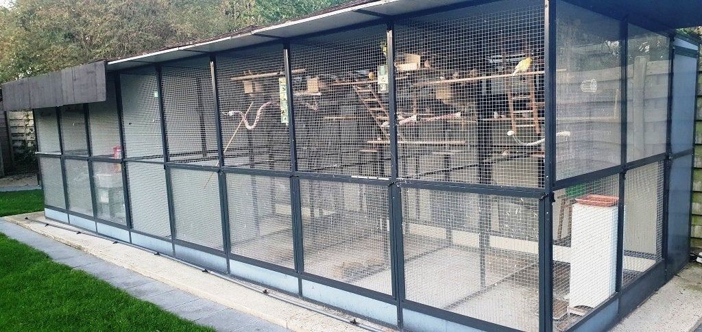 Volière 8 x 3m, Animaux & Accessoires, Oiseaux | Cages & Volières, Utilisé, Volière, Aluminium, Enlèvement