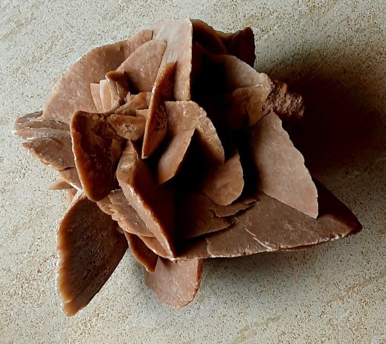 Belle rose du désert de taille moyenne, Enlèvement ou Envoi, Minéral