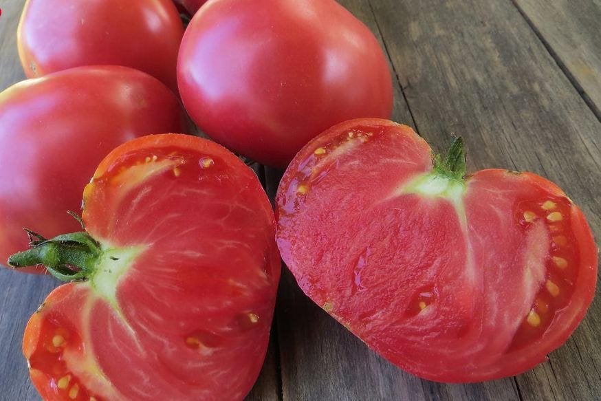 5 graines de tomates Mikado Pink, Jardin & Terrasse, Bulbes & Semences, Envoi, Printemps, Graine