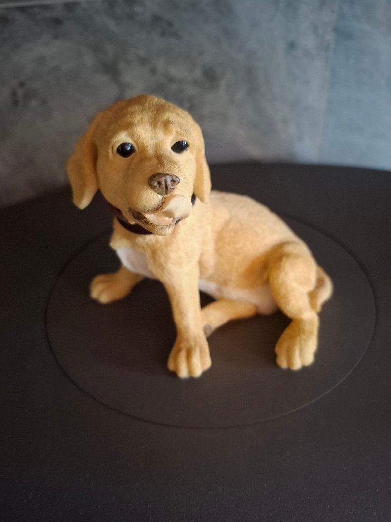 Labrador van het merk Leonardo, Enlèvement, Comme neuf
