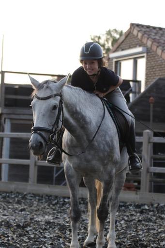 Engelse Volbloed merrie te koop, Dieren en Toebehoren, Merrie, Met stamboom, Zadelmak, 7 tot 10 jaar