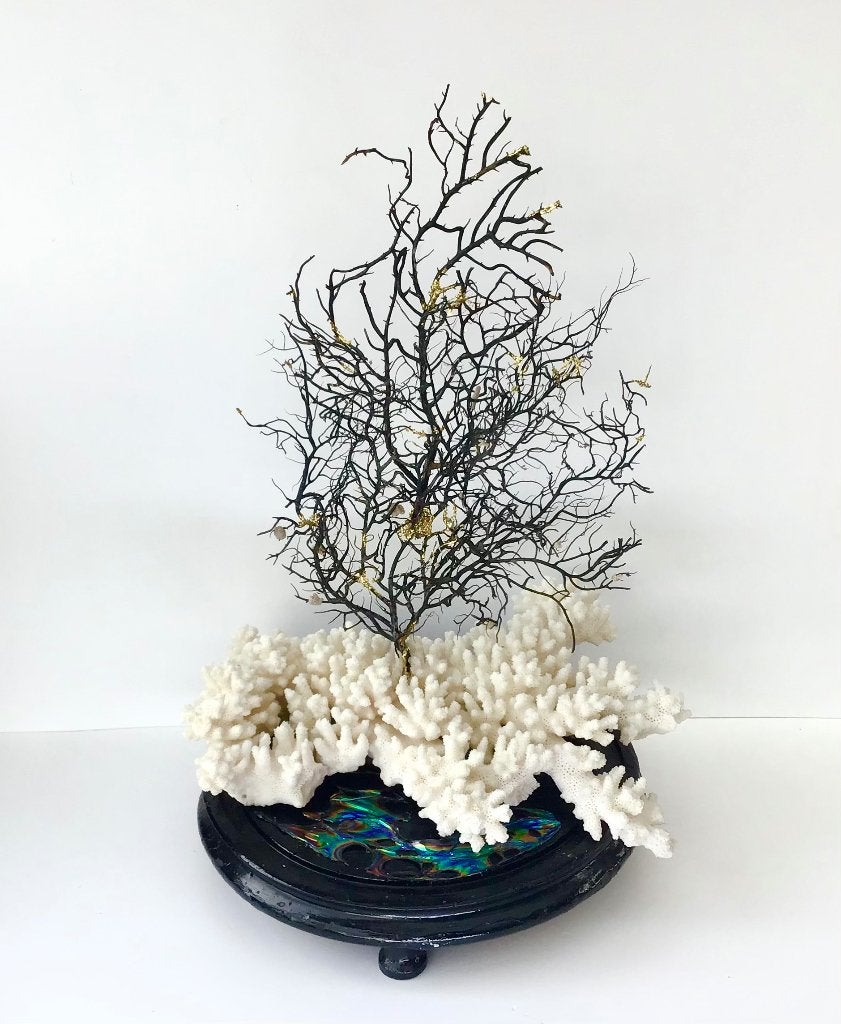Unieke koraalornament met bladgoud, Ophalen