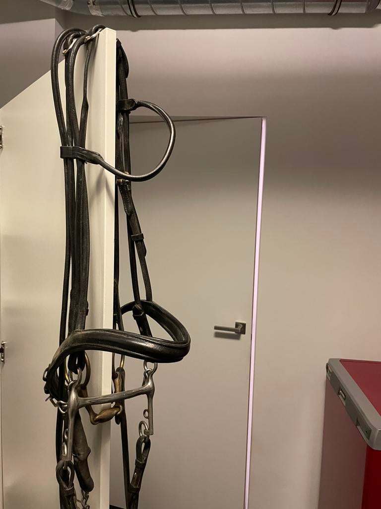 Tige ronde en cuir et bride, Enlèvement, Utilisé, Dressage