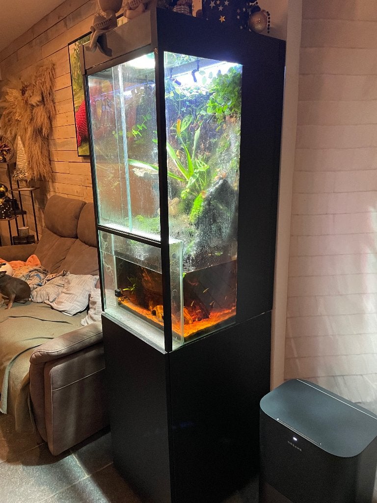 Super mooi paludarium, Autres espèces, 0 à 2 ans