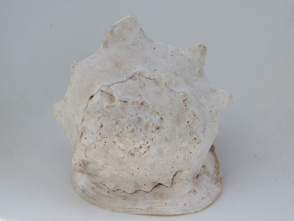 Casque de reine, coque XL, 31 cm, Collections, Enlèvement ou Envoi