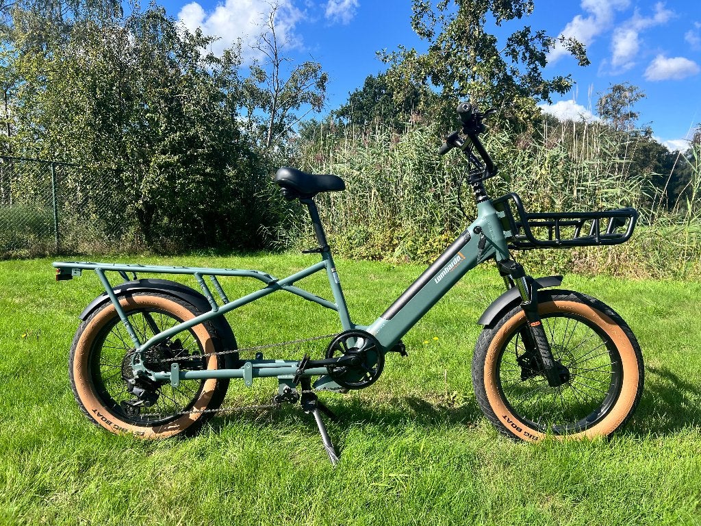 elektrische fiets, Fietsen en Brommers, Gebruikt, 47 tot 51 cm, 50 km per accu of meer, Ophalen