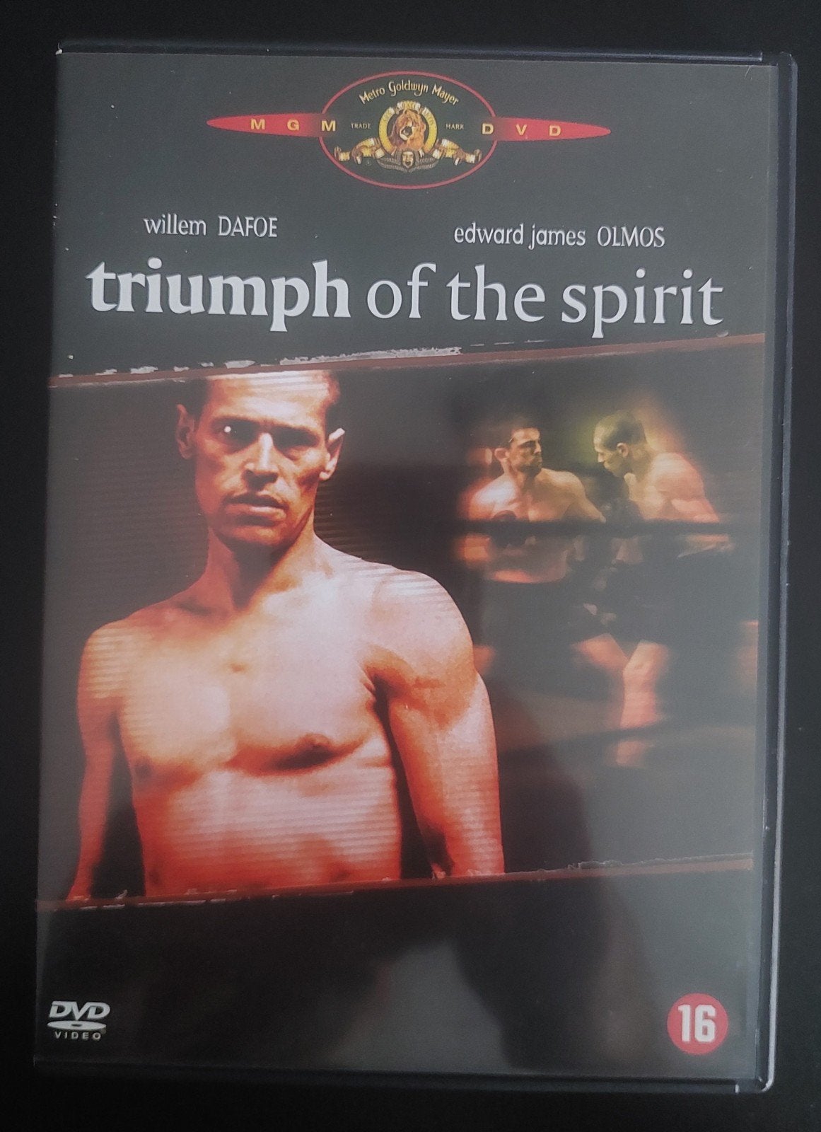 Dvd Triomf van de Geest, Cd's en Dvd's, Ophalen of Verzenden