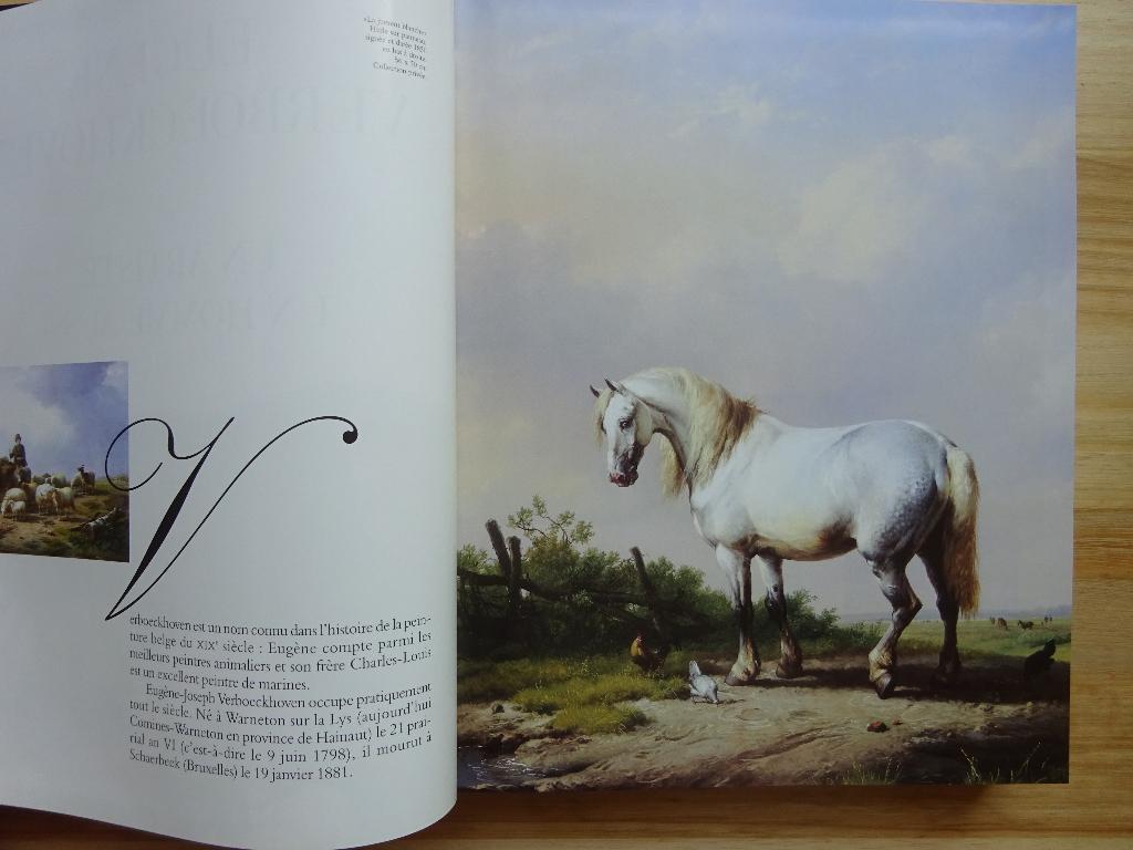 Dictionnaire des peintres d'animaux Belges- Hollandais, 1998, Nieuw, Ophalen of Verzenden, Berko, Schilder- en Tekenkunst