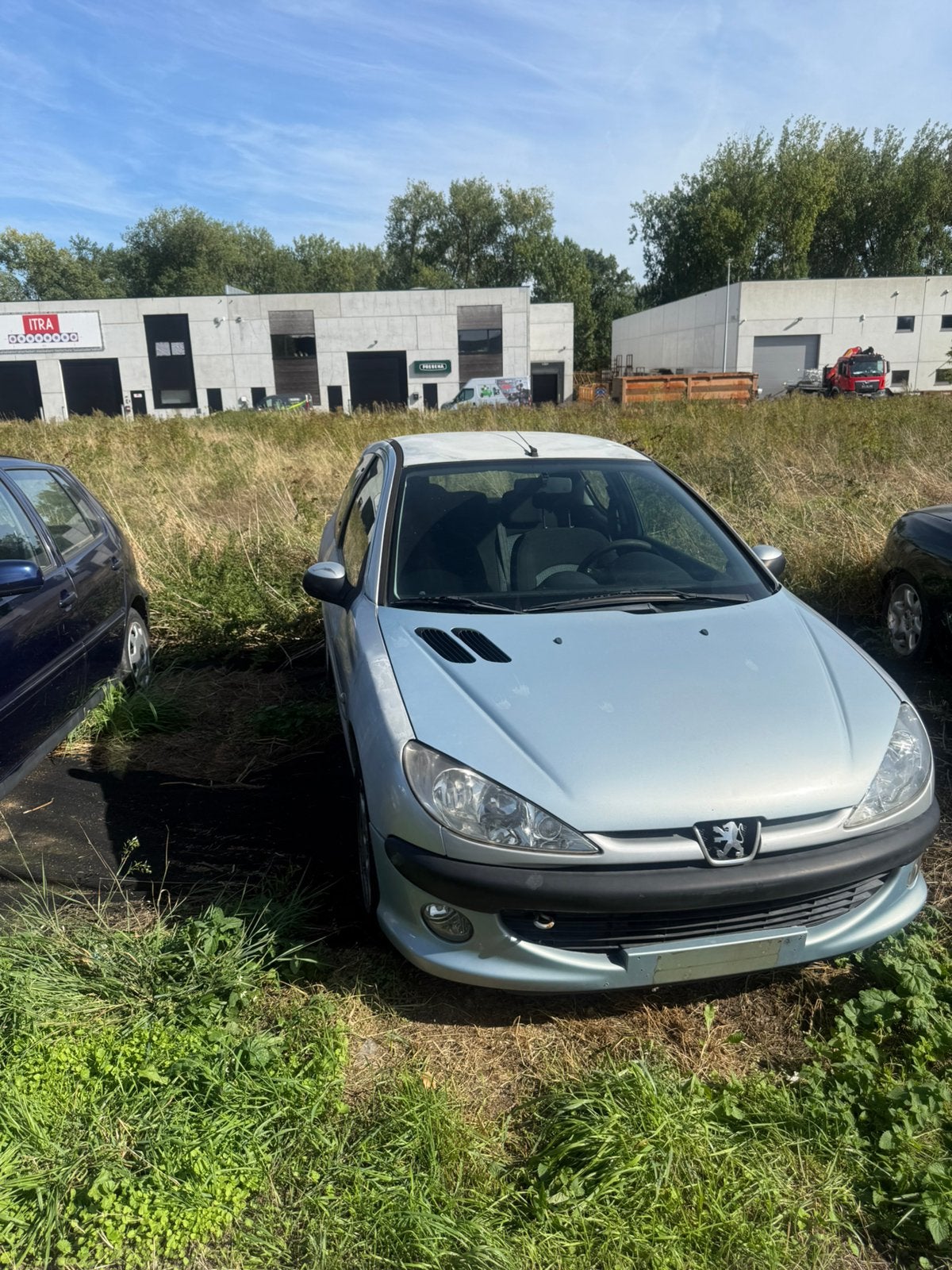 Peugeut 206, Achat, Bleu, Particulier, 3 portes