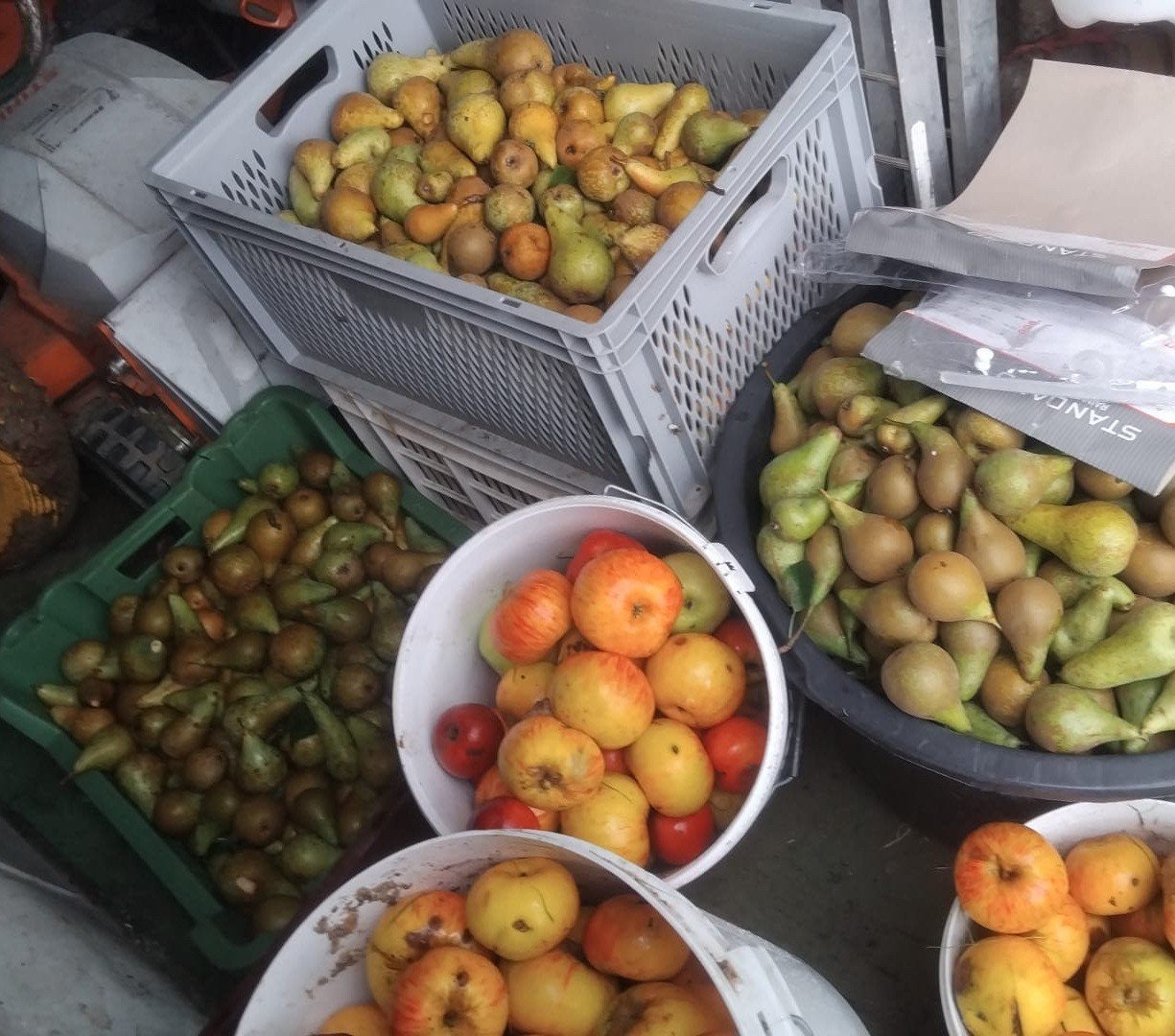 bio peren/appelsap vaatjes 3 liter, Ophalen