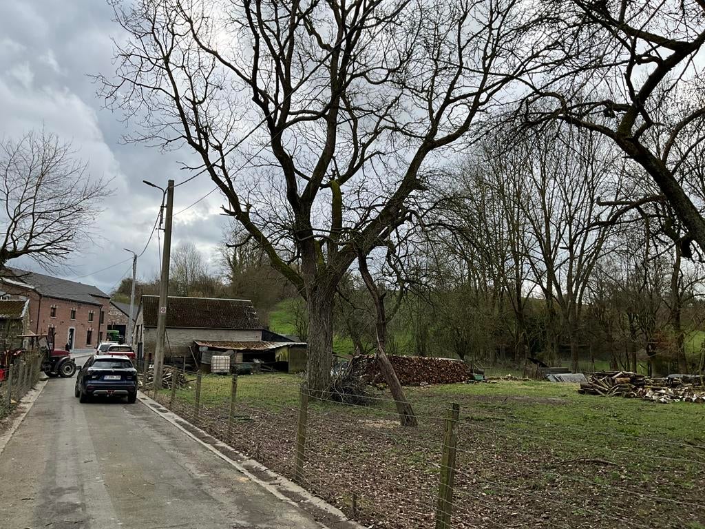 Gros tronc de noyer, Enlèvement