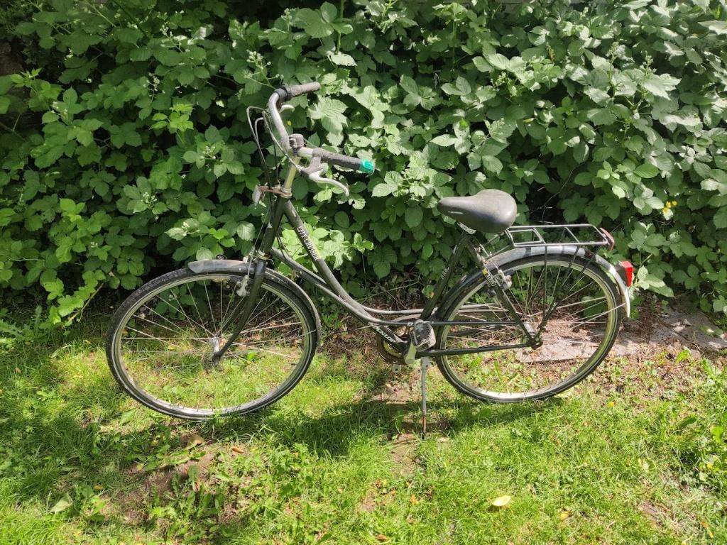 Fiets Dunlop City Cruiser, Fietsen en Brommers, Fietsen | Dames | Damesfietsen, Gebruikt, Overige merken, Ophalen