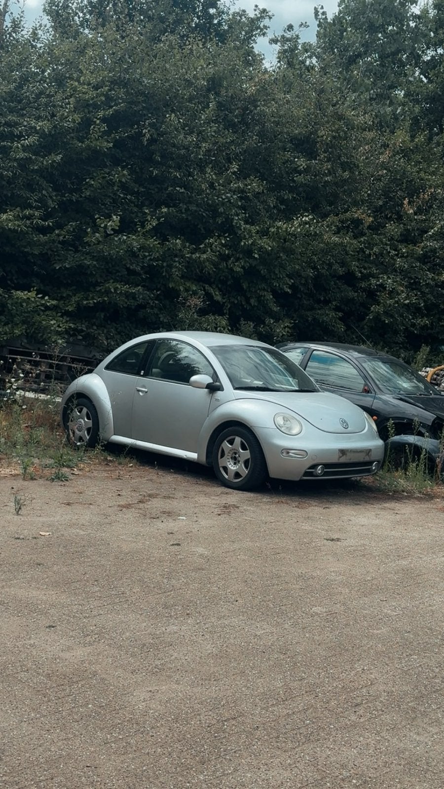 Coccinelle Volkswagen, Autos, Particulier, Achat