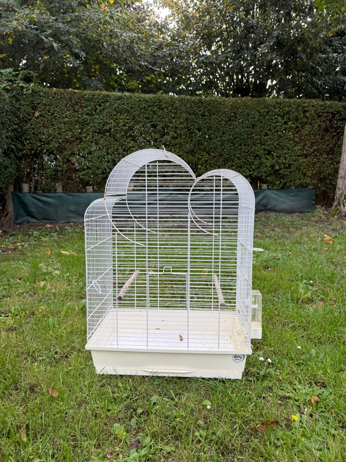 Cage oiseaux, Dieren en Toebehoren, Ophalen