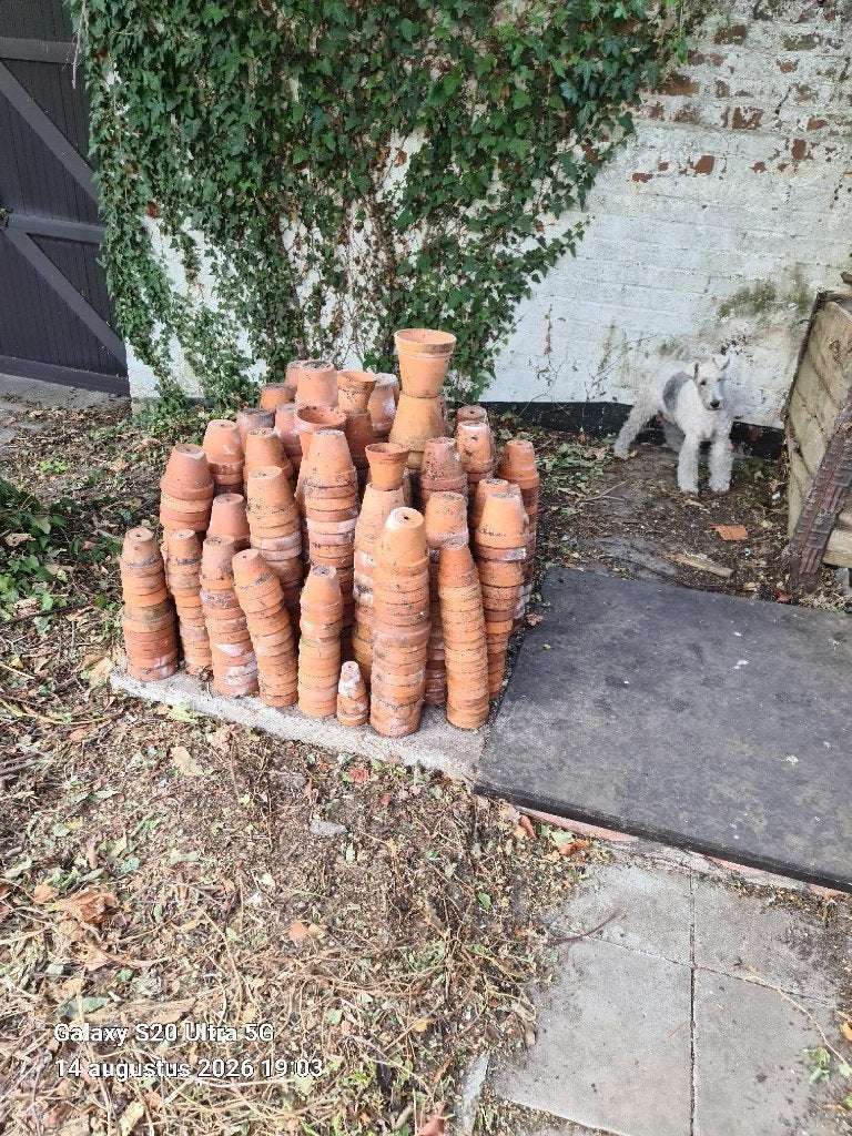 pots de fleurs, Enlèvement, Utilisé, Intérieur, Moins de 40 cm