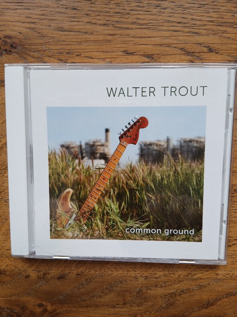 CD Walter Trout : Common Ground, Cd's en Dvd's, Cd's | Jazz en Blues, Ophalen