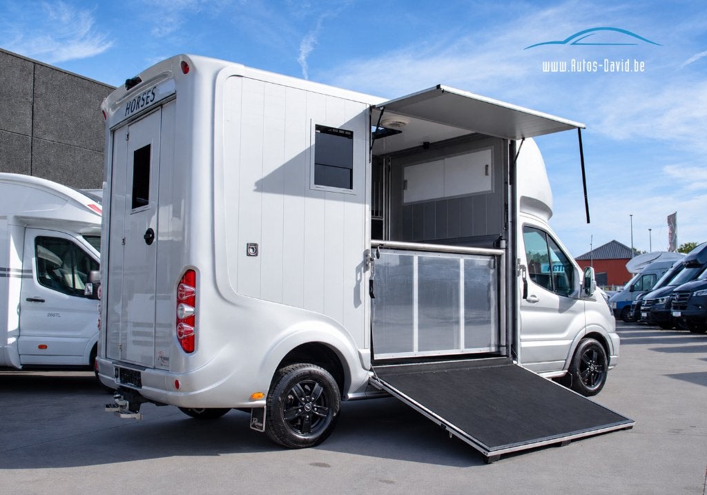 Camion équestre Roelofsen Parados Sport Ford Transit 350 L4, Cuir, Argent ou Gris, Achat, Euro 6