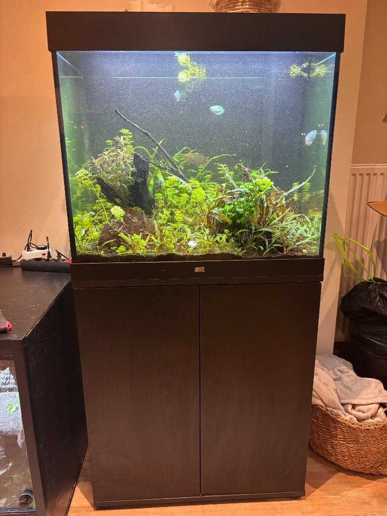 Juwel 200l aquarium + kast en toebehoren, Ophalen, Gebruikt, Gevuld zoetwateraquarium, Juwel