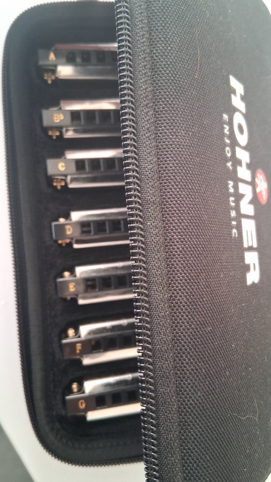 Hohner Bluesband, Muziek en Instrumenten, Ophalen of Verzenden