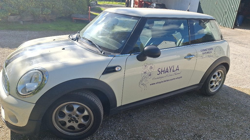 Voiture Mini one moteur a réparer, Achat, Entreprise, https://public.car-pass.be/1234, One