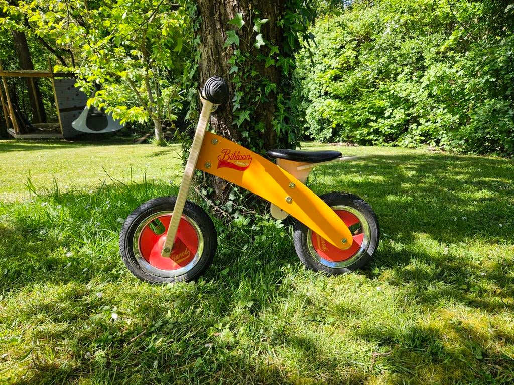 Draisienne bikloon de  janod, Enlèvement