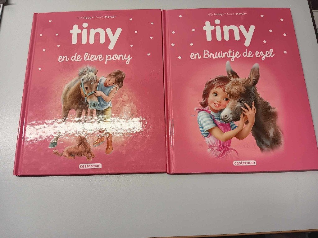 boeken Tiny (zo goed als nieuw), Enlèvement ou Envoi, Comme neuf, Fiction général
