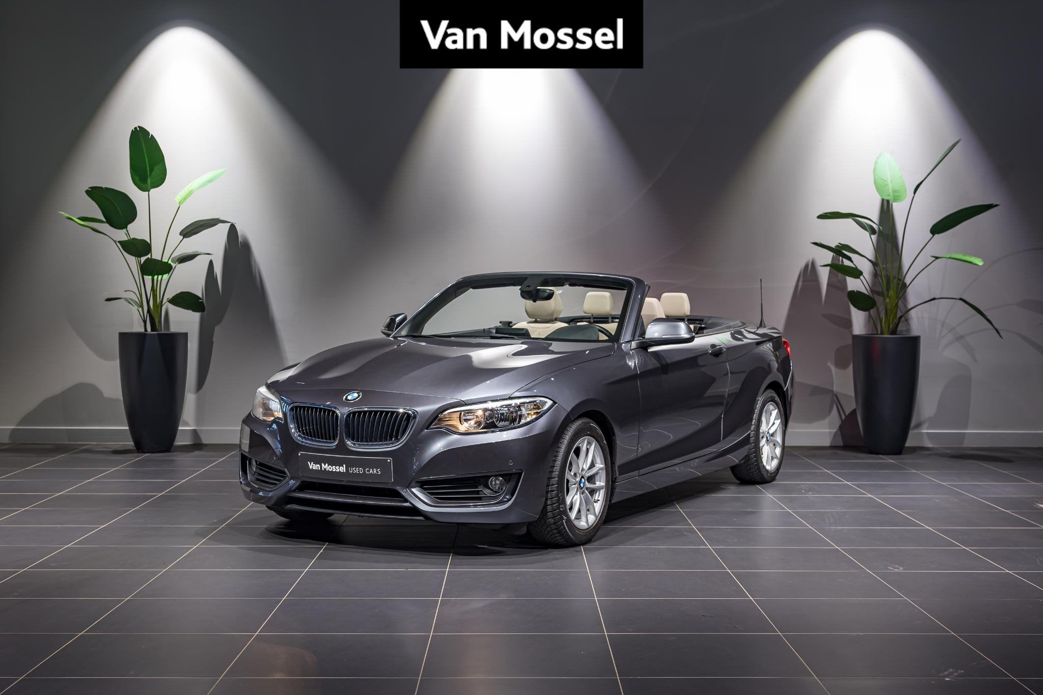 BMW 2 Serie Cabrio 218i (automatique), Autos, BMW, 100 kW, Argent ou Gris, Euro 6, Entreprise