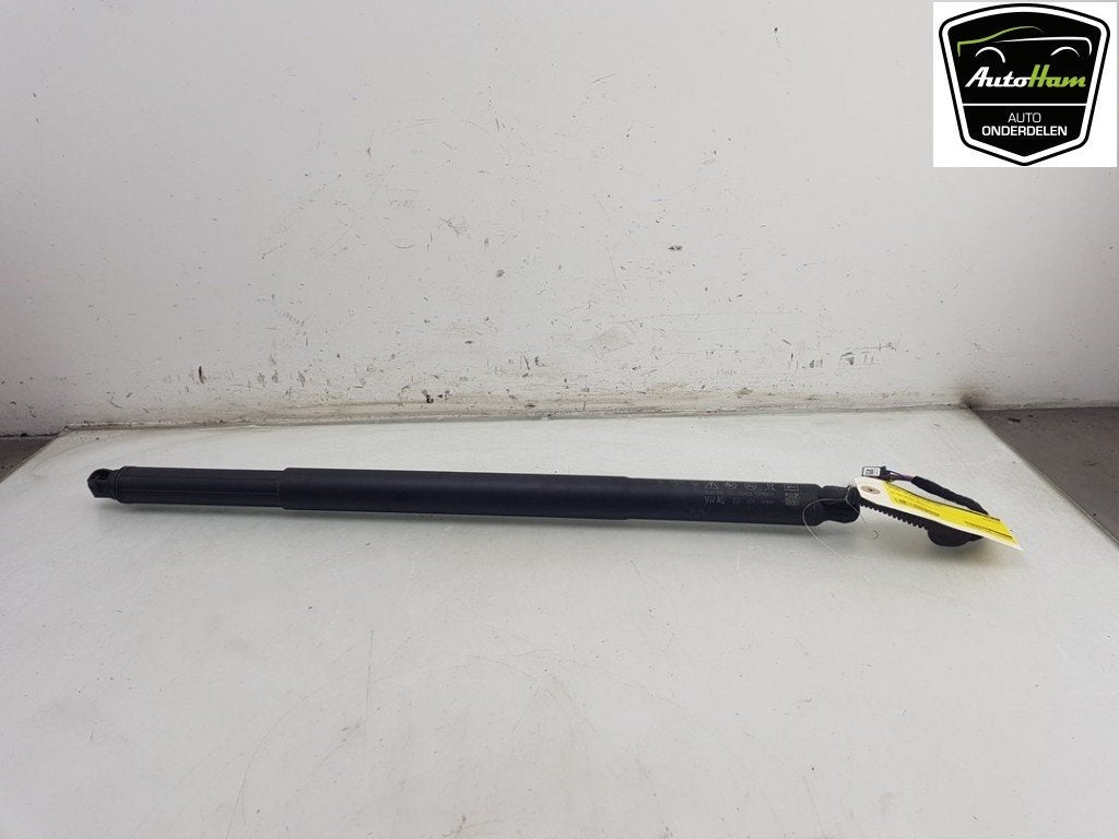 GASDRUKVEER RECHTS ACHTER Octavia (NXAA) (|5E6827851C|), Gebruikt, Info@skoda-auto.de, Skoda, Max-Planck-Straße  3-5
64331  Weiterstadt, DE