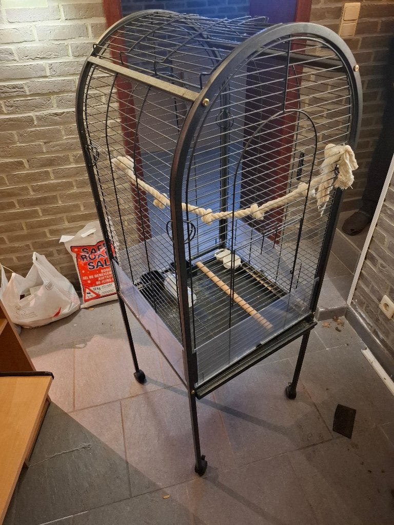 Vogelkooi, Dieren en Toebehoren, Ophalen, Vogelkooi