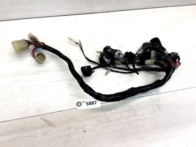 ZZR1400 2005 - 2011 Kawasaki Kabelboom D1-48444