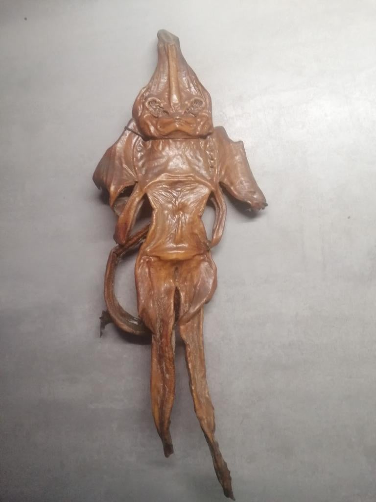 Jenny Haniver/zeemonster/zeeduivel, Ophalen