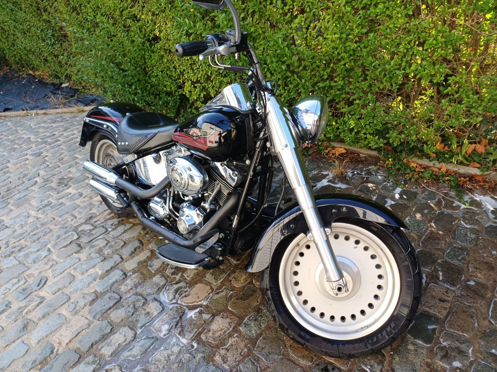 Fat Boy 2007, Motoren, Particulier
