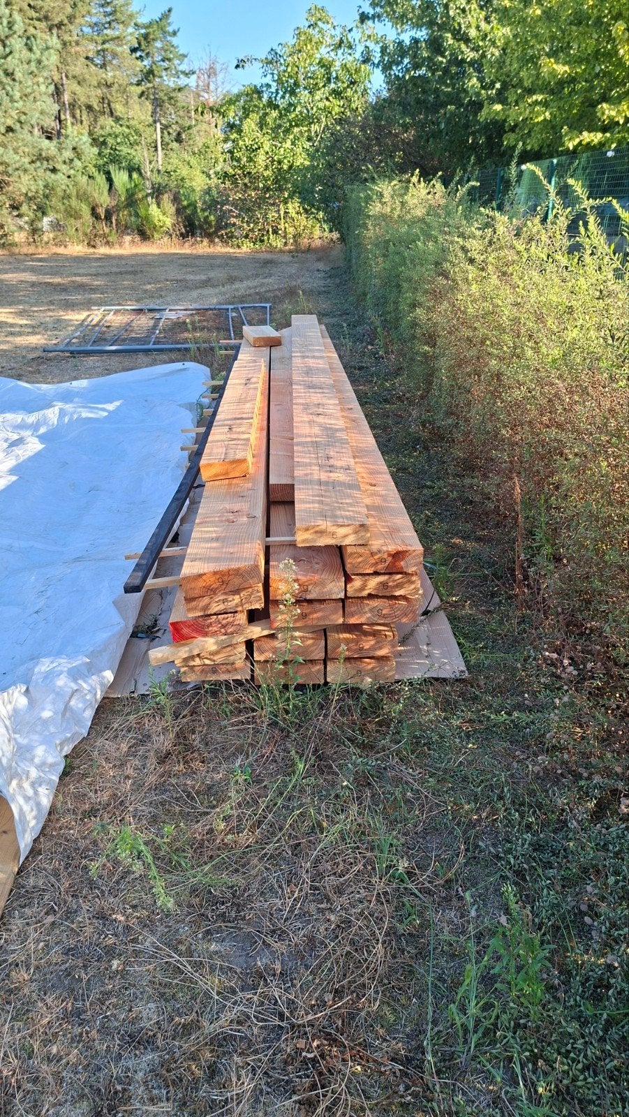 Douglas Balken nieuw, Ophalen, Nieuw, 250 cm of meer, Balken