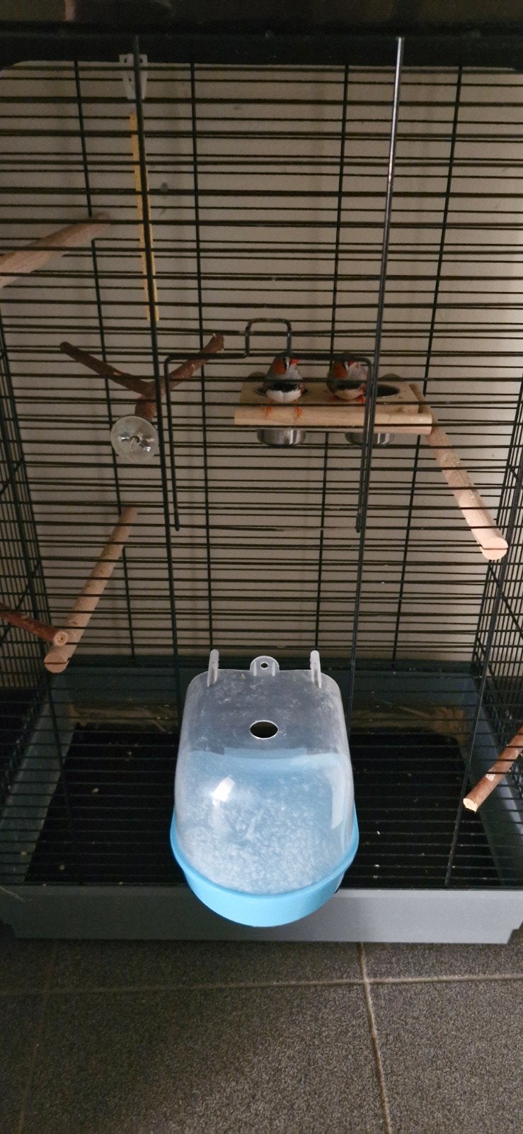 Grote vogelkooi, Dieren en Toebehoren, Ophalen, Vogelkooi