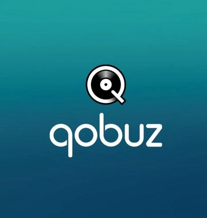 Qobuz Studio streaming abonnement via Sharesub delen <<<!>>>, Tickets en Kaartjes