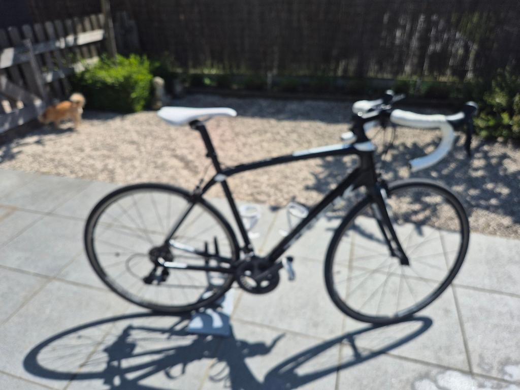 Koersfiets te koop, Ophalen, Zo goed als nieuw