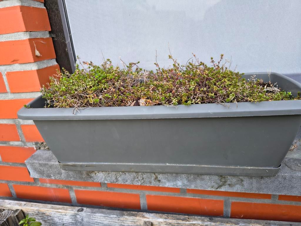4 vensterbank bloembakken, Tuin en Terras, Ophalen of Verzenden