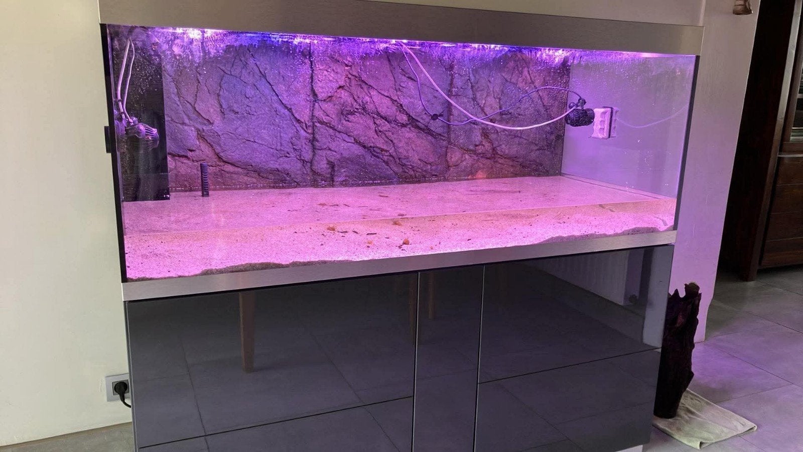 oase, Animaux & Accessoires, Poissons | Aquariums & Accessoires, Enlèvement, Oase