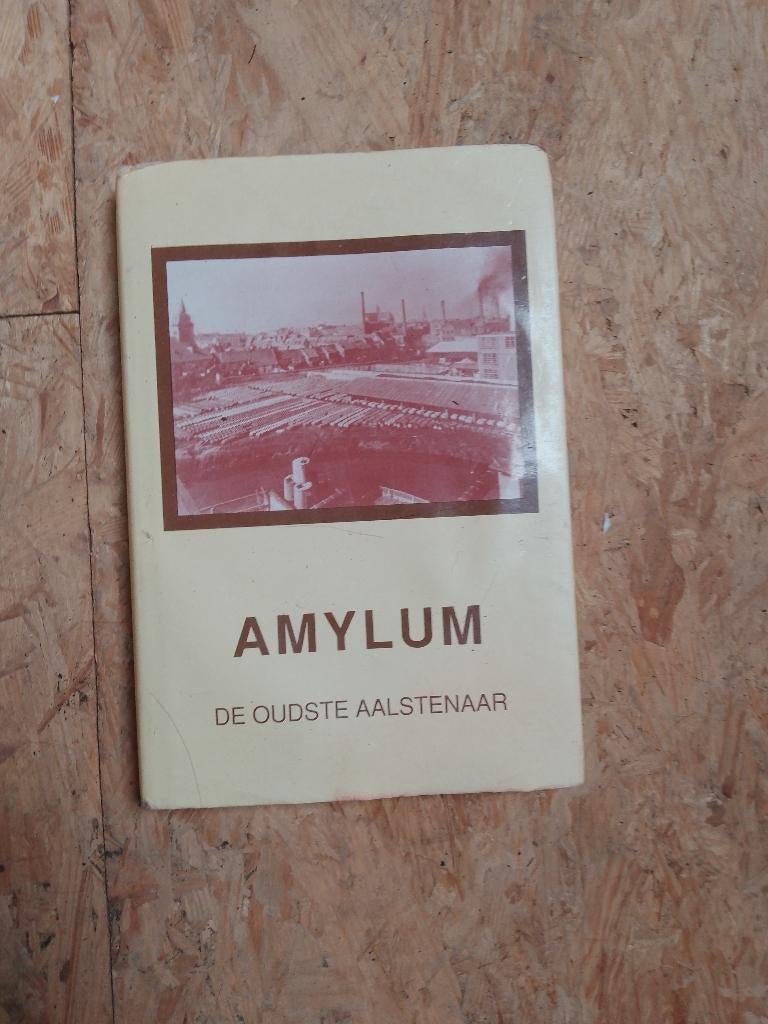 Boek Amylum Aalst, Boeken, Geschiedenis | Stad en Regio, Ophalen