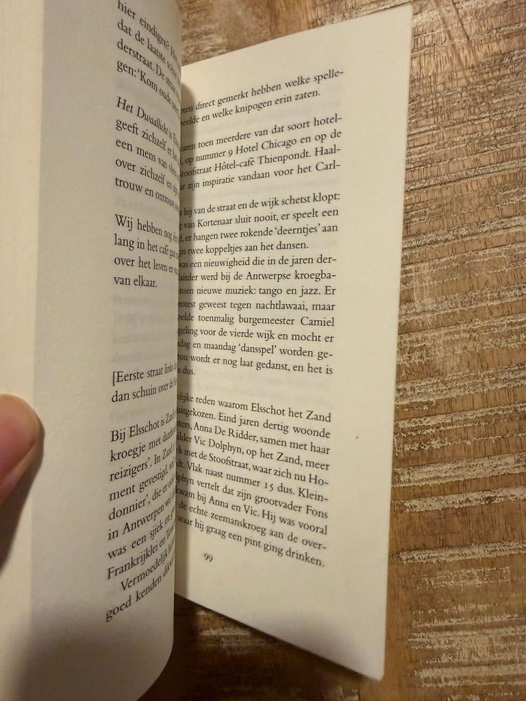 Het dwaallicht - Willem Elsschot (Met stadswandeling ), Boeken, België, Ophalen of Verzenden, Zo goed als nieuw, Willem Elsschot