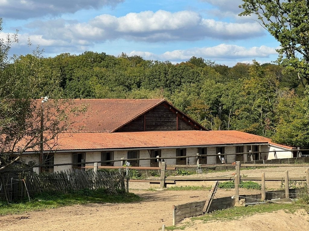 Box disponible, Dieren en Toebehoren, 1 paard of pony