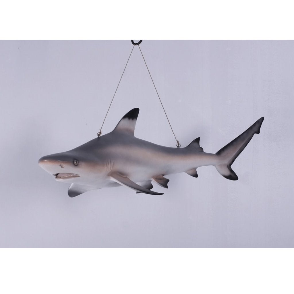 Shark Tip Reef Black beeld – Haai Lengte 115 cm, Ophalen, Nieuw